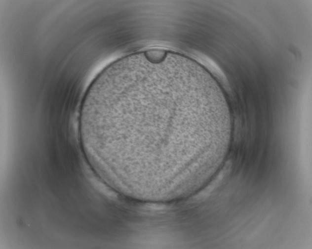 X0000113641190200910162030