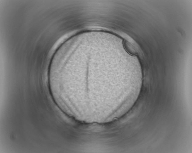 X0000113641191200910162030