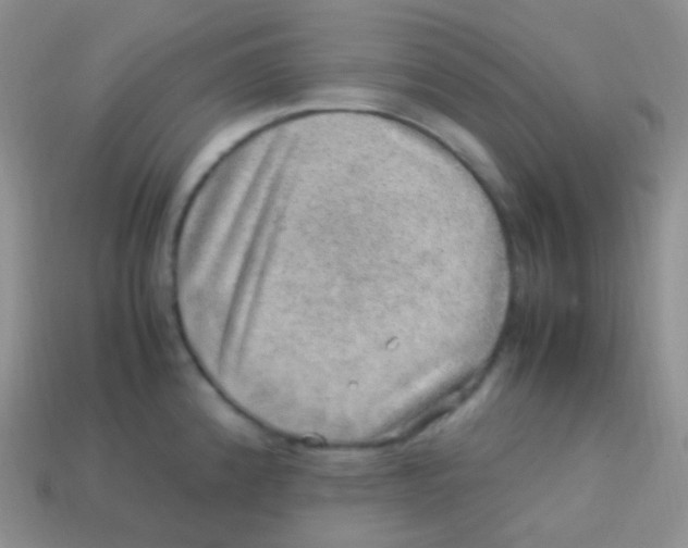 X0000113641192200910162030