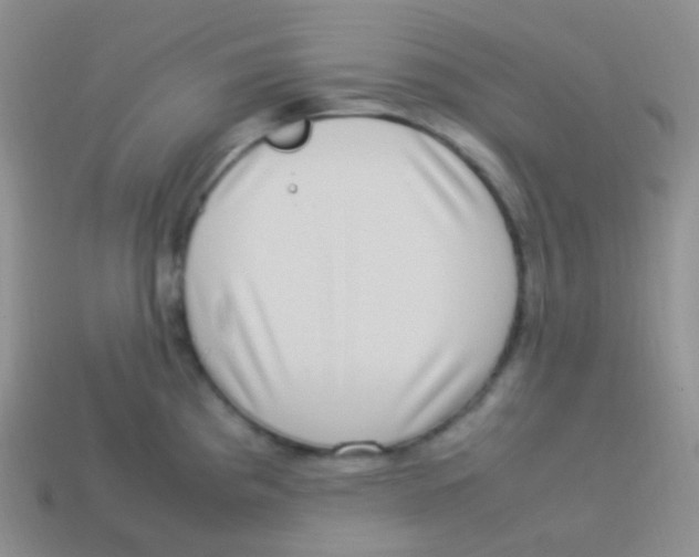 X0000113641193200910162030