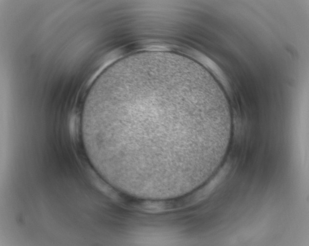 X0000113641194200910162030