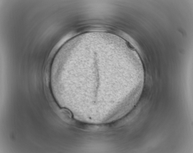 X0000113641195200910162030