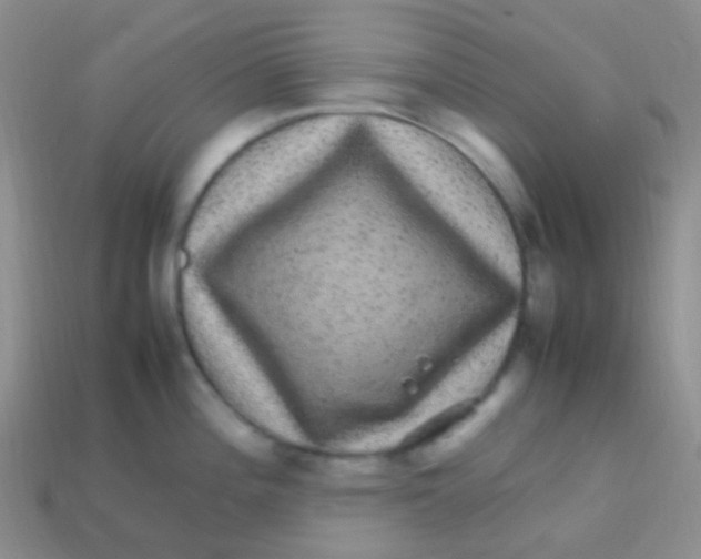 X0000113641196200910162030