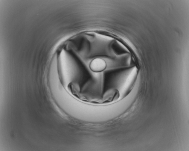 X0000113641197200910162030