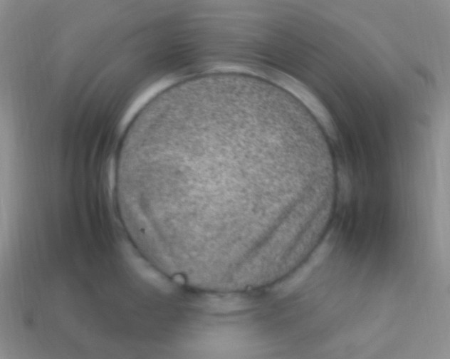 X0000113641198200910162030