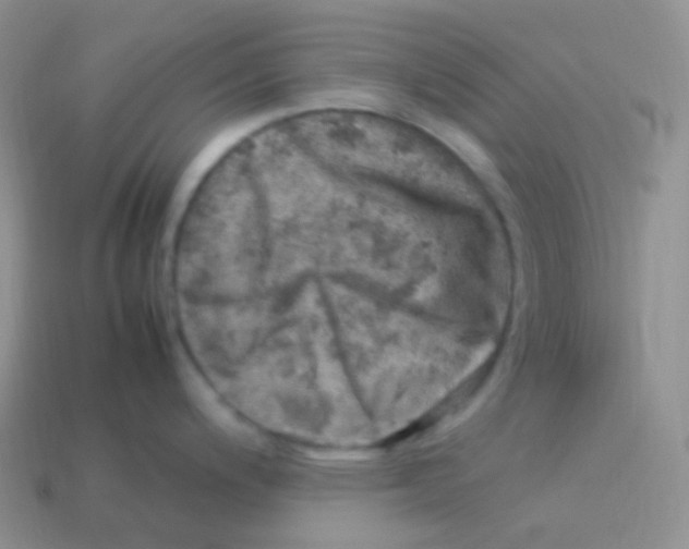 X0000113641200200910162030