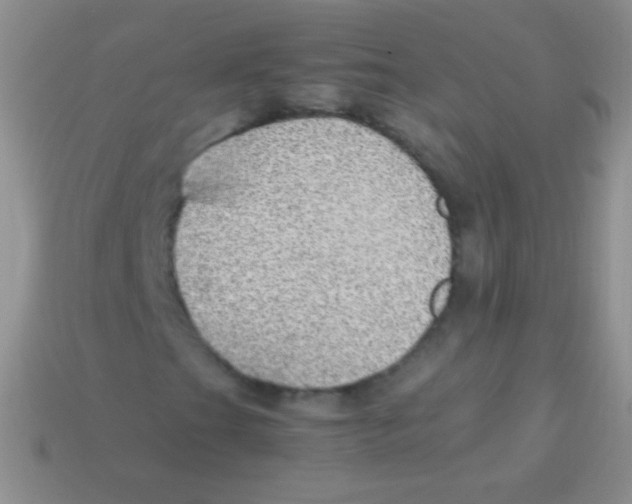 X0000113641201200910162030