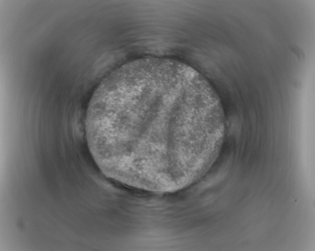 X0000113641202200910162030