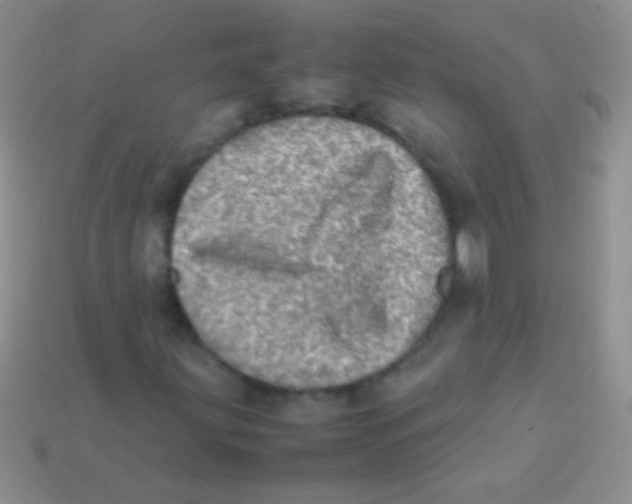 X0000113641203200910162030