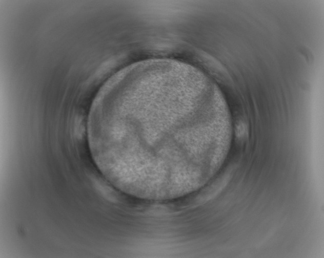 X0000113641204200910162030