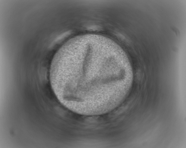 X0000113641205200910162030