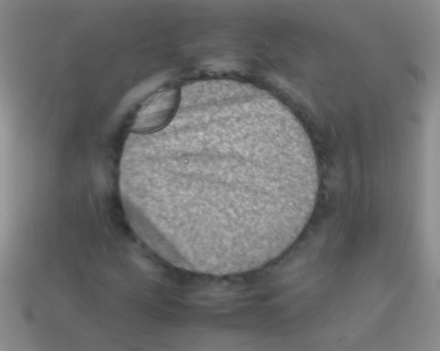 X0000113641207200910162030