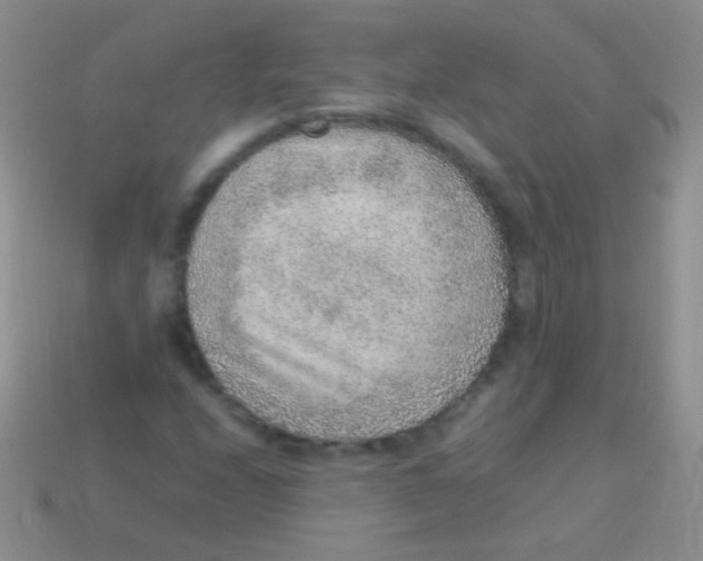 X0000113641208200910162030