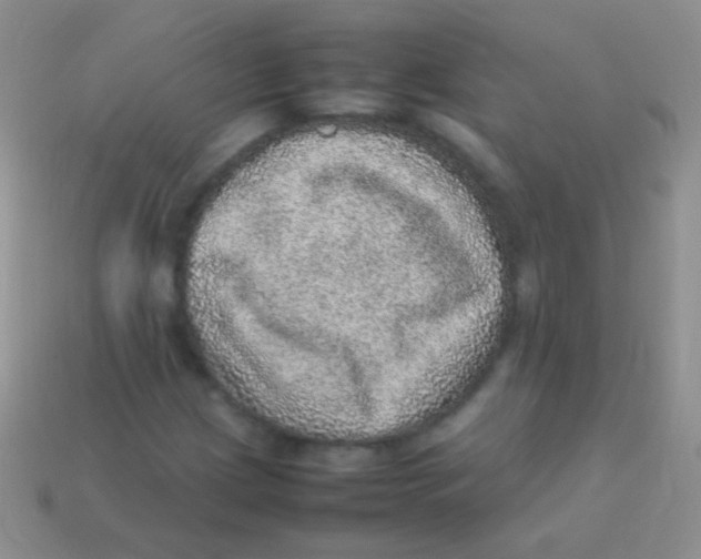 X0000113641209200910162030