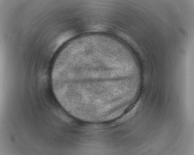 X0000113641210200910162030