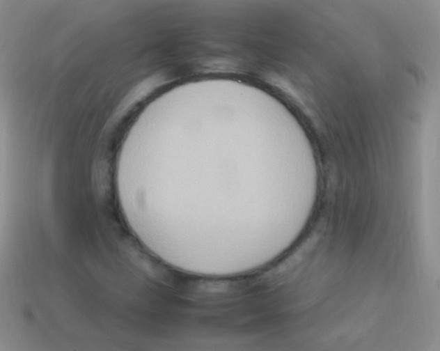 X0000113641211200910162030