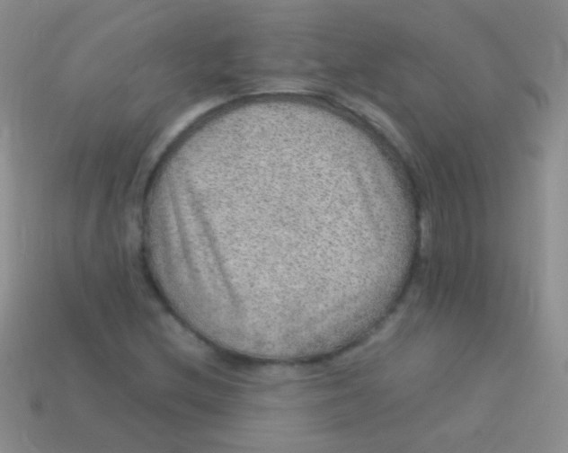 X0000113641212200910162030