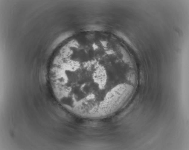 X0000113641213200910162030