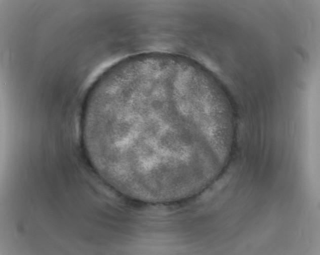 X0000113641214200910162030