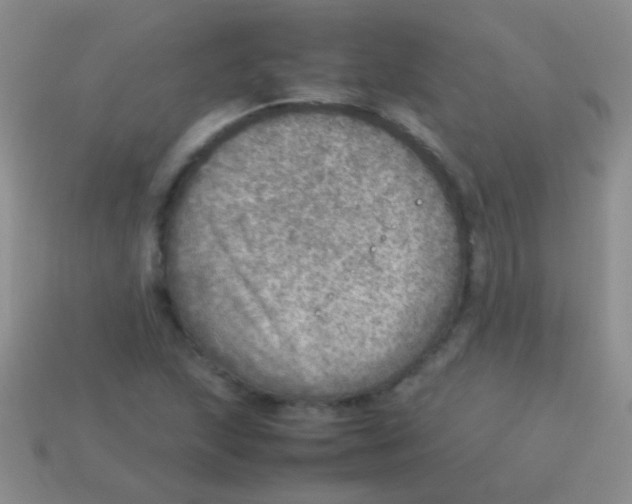 X0000113641215200910162030