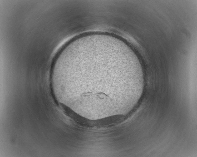 X0000113641216200910162030