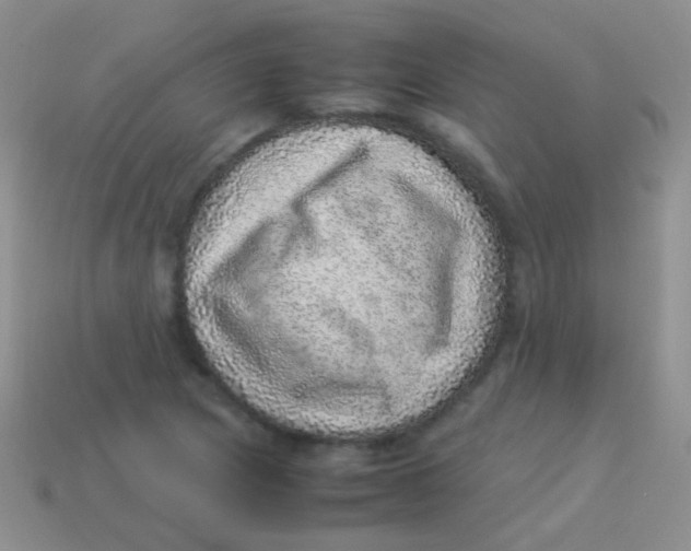 X0000113641217200910162030