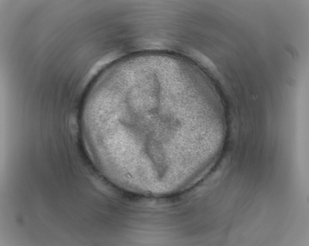 X0000113641218200910162030