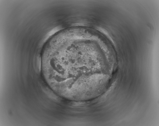 X0000113641219200910162030