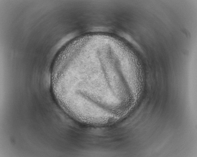 X0000113641221200910162030