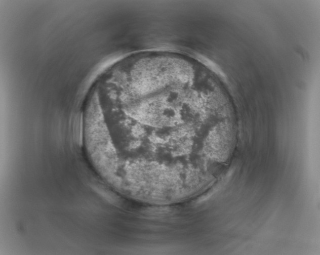 X0000113641223200910162030