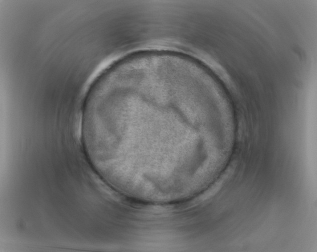 X0000113641224200910162030