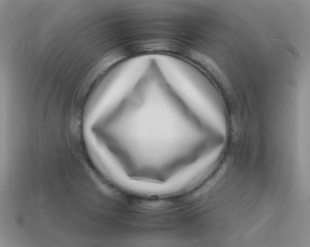 X0000113641225200910162030