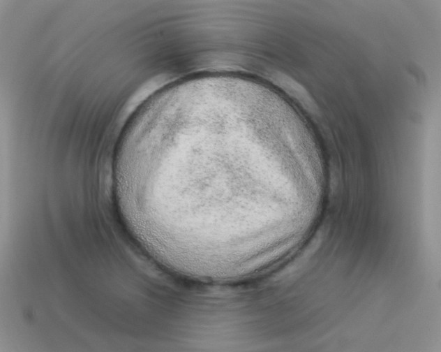 X0000113641226200910162030