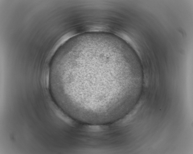 X0000113641227200910162030