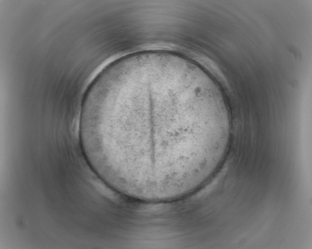 X0000113641228200910162030