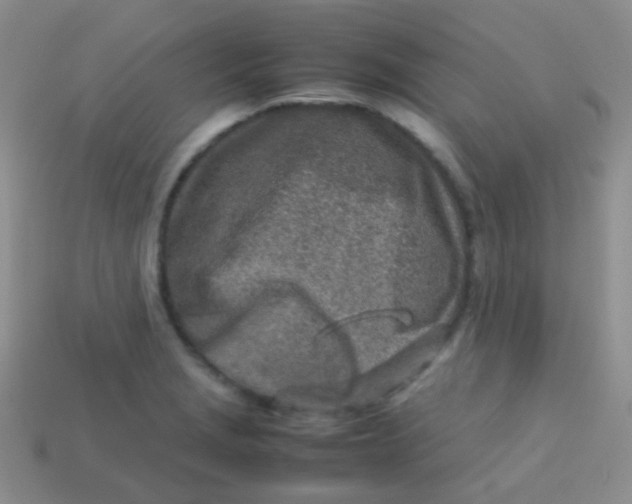 X0000113641229200910162030