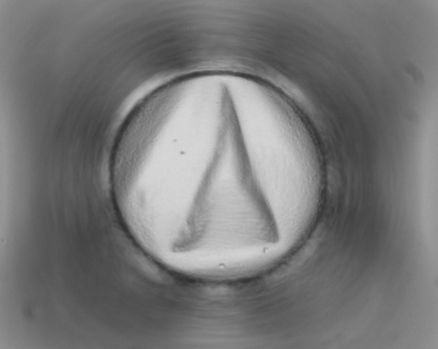 X0000113641230200910162030