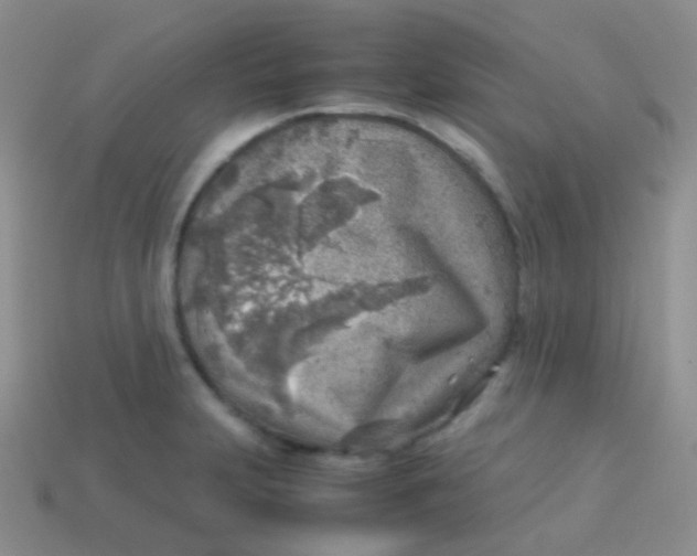 X0000113641231200910162030