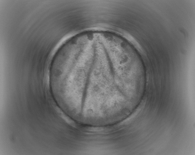 X0000113641232200910162030