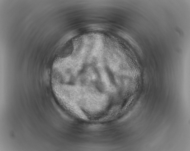 X0000113641233200910162030