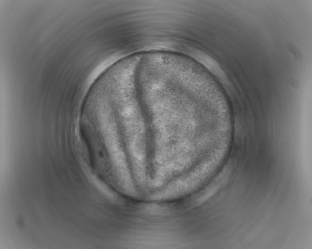 X0000113641234200910162030