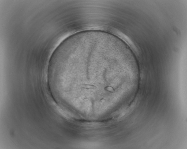 X0000113641236200910162030