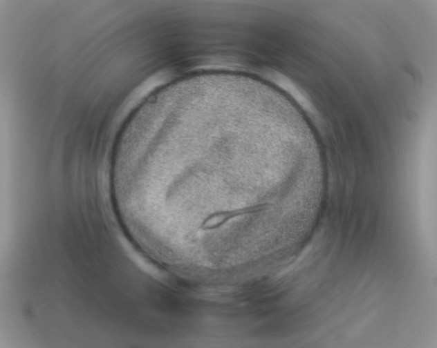 X0000113641237200910162030