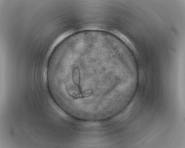 X0000113641238200910162030