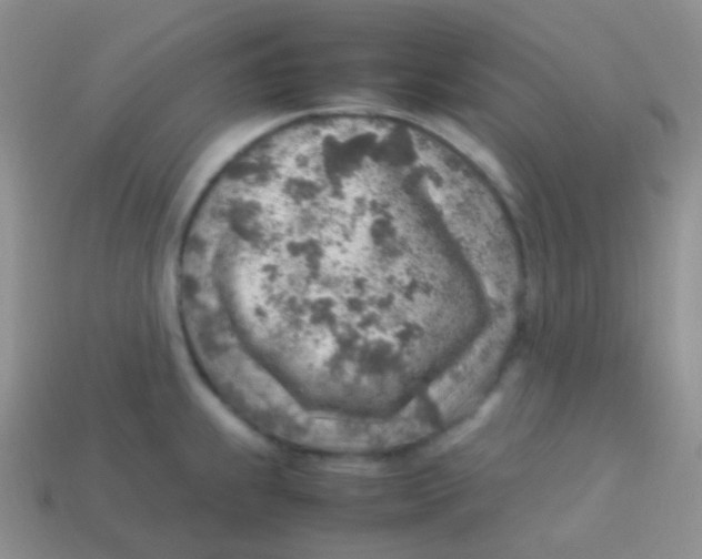 X0000113641239200910162030