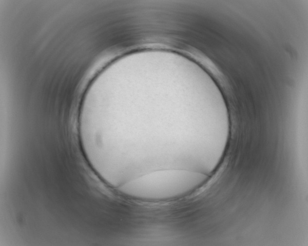 X0000113641240200910162030