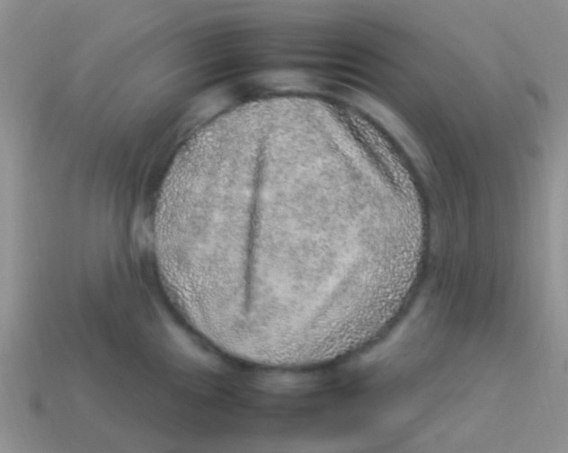 X0000113641241200910162030