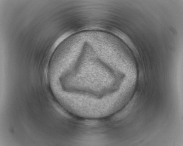 X0000113641242200910162030