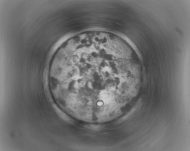 X0000113641245200910162030