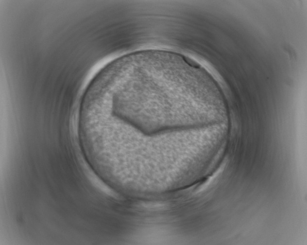 X0000113641246200910162030